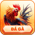 đá gà